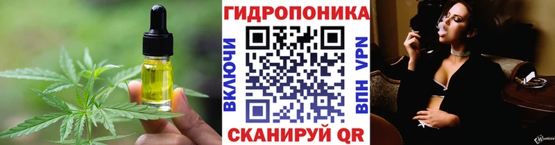 Canna-Cookies конопля  Южно-Сухокумск 