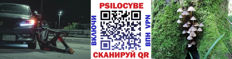 ссылка на мегу зеркало  Южно-Сухокумск  Псилоцибиновые грибы Magic Shrooms  даркнет сайт 